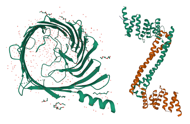 QZ protein images